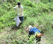清掃活動