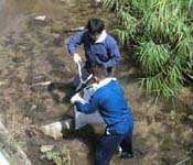 清掃活動